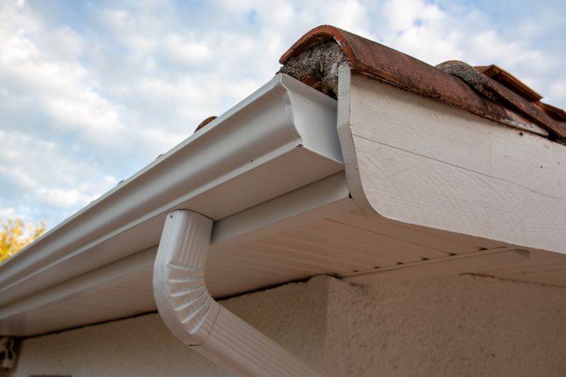 Gutter and Roof Sealant